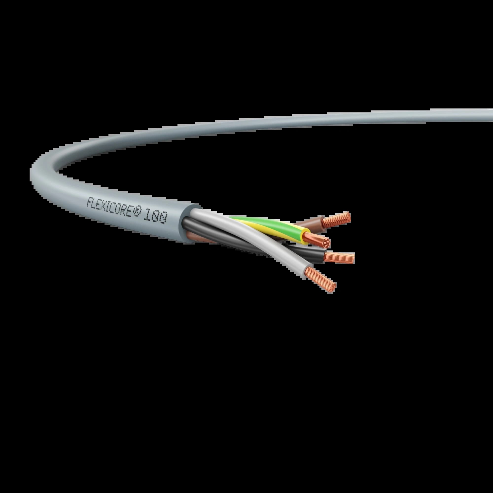 3120000013_FLEXICORE 100 4G1.5 